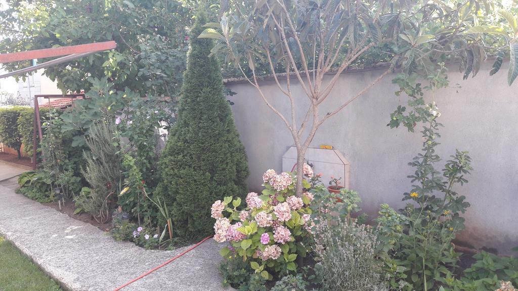 Chervenkov Guest House Chernomorets Bagian luar foto